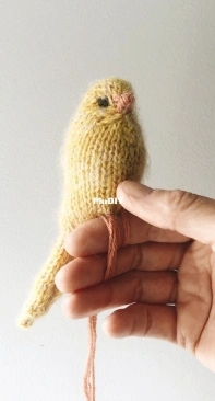 Canary by Claire Garland - Free