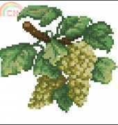 Green Grapes 4684 from Hafty Polskie 2010.06 XSD