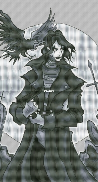 The Crow by Alisa Okneas