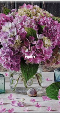 NaDiMa G-210706-Hortensia