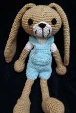Bunny boy