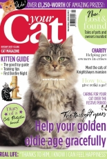 Your Cat - November 2018