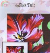 I Love Cross Stitch JH-022 Black Tulip