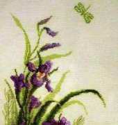 Charivna Mit 232 - Iris