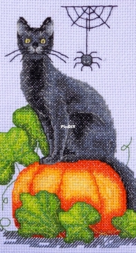 Kitten on a pumpkin.