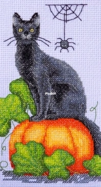 Kitten on a pumpkin.