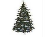 QS Town Christmas Tree