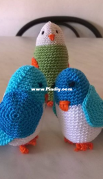 Parrot