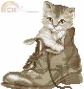 Vervaco 35.062 (pat)