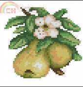 Pears 4687 from Hafty Polskie 2009.01 XSD