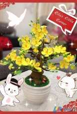 My flower <3