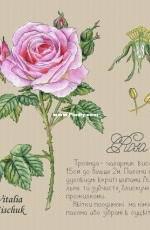Vitalia Mischuk - Rose