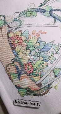 Succulent plants