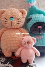 Cats