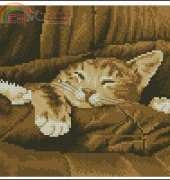 DMC Deco BK133 Sleepy XSD