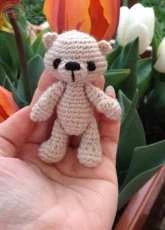 mini teddy