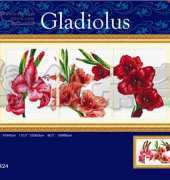 Dome 100824 - Gladiolus