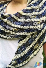 The Van Gogh Shawl by Cathy Lewis/Tall Tree Designs-Free