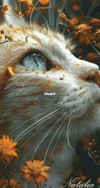 Autumn cat by Natalia Guba