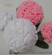 Sky Magenta - Carnation