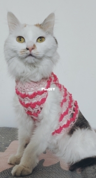 Pink heart cat sweater
