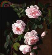 Golden Kite GK2548 - Roses