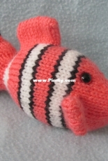 Clownfish