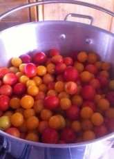 Jam anyone?