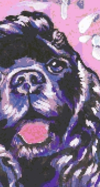 Pop Art - Cocker Spaniel