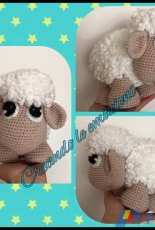 My sweet sheep