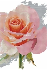 Alisa 2-40  The Breath of a Rose Tenderness