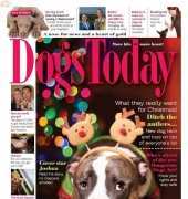 Dogs Today-January-2015