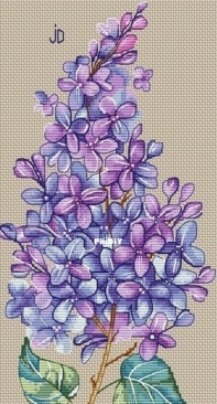 Lilac by Jeanne Dick
