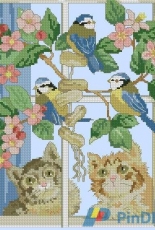 Cats and birds