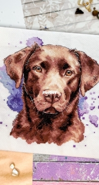 Banani Stitchery - Chocolate Labrador Retriever