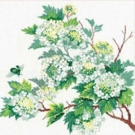 Riolis 884 Guelder rose