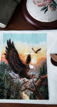 Dimensions 06759 Eagles