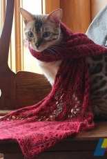 Feather and Fan Short Scarf by Kelly Faller -Free