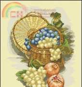 Still - life with bunch of grapes