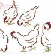 Danielle Gouriou Curie Poules rousses