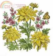 RTO M035 Golden Globes