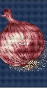 NTruStitch - Onion