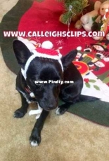 Calleighs Clips - Elisabeth Spivey - Christmas Headpiece - Free