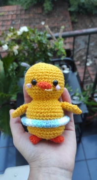 Duckling goes swimming