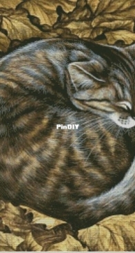 Wooden House - Sleeping Kitty by Tanya Abushina