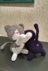 Kittens