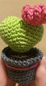 Love cactus