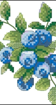 M.P. Studio - M-550 Blueberry XSD