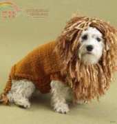 King Of Beasts Dog Sweater- Lion Brand