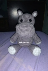 Hippo